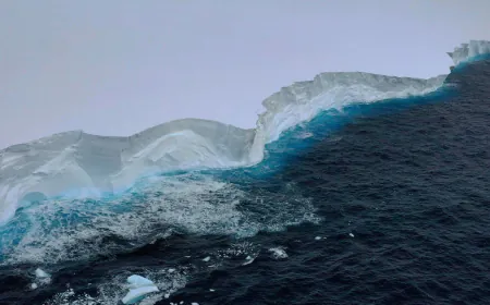 World's biggest iceberg could collide with Antarctic penguin island
